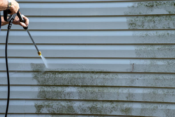 Shed Removal in Phoenix, IL