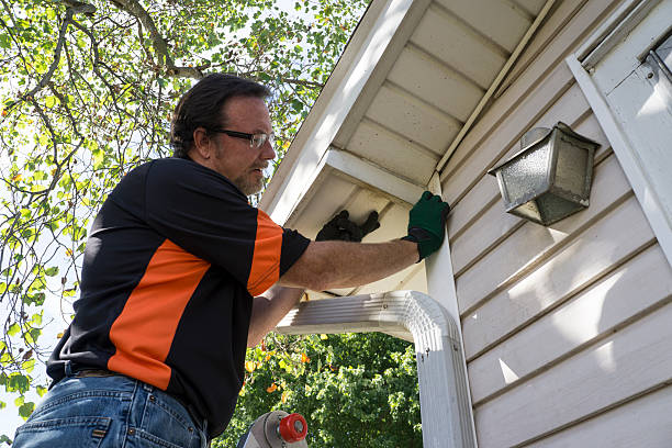 Shed Removal in Phoenix, IL